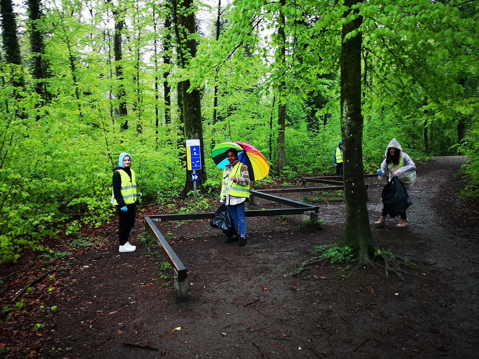 Die 6. Klasse putzt den Wald