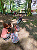 Kindergartenreise ins Waldhaus Gretzenbach