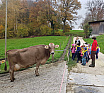 Bauernhofbesuch KIGA Feld 1 und 2