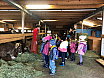 Bauernhofbesuch KIGA Feld 1 und 2