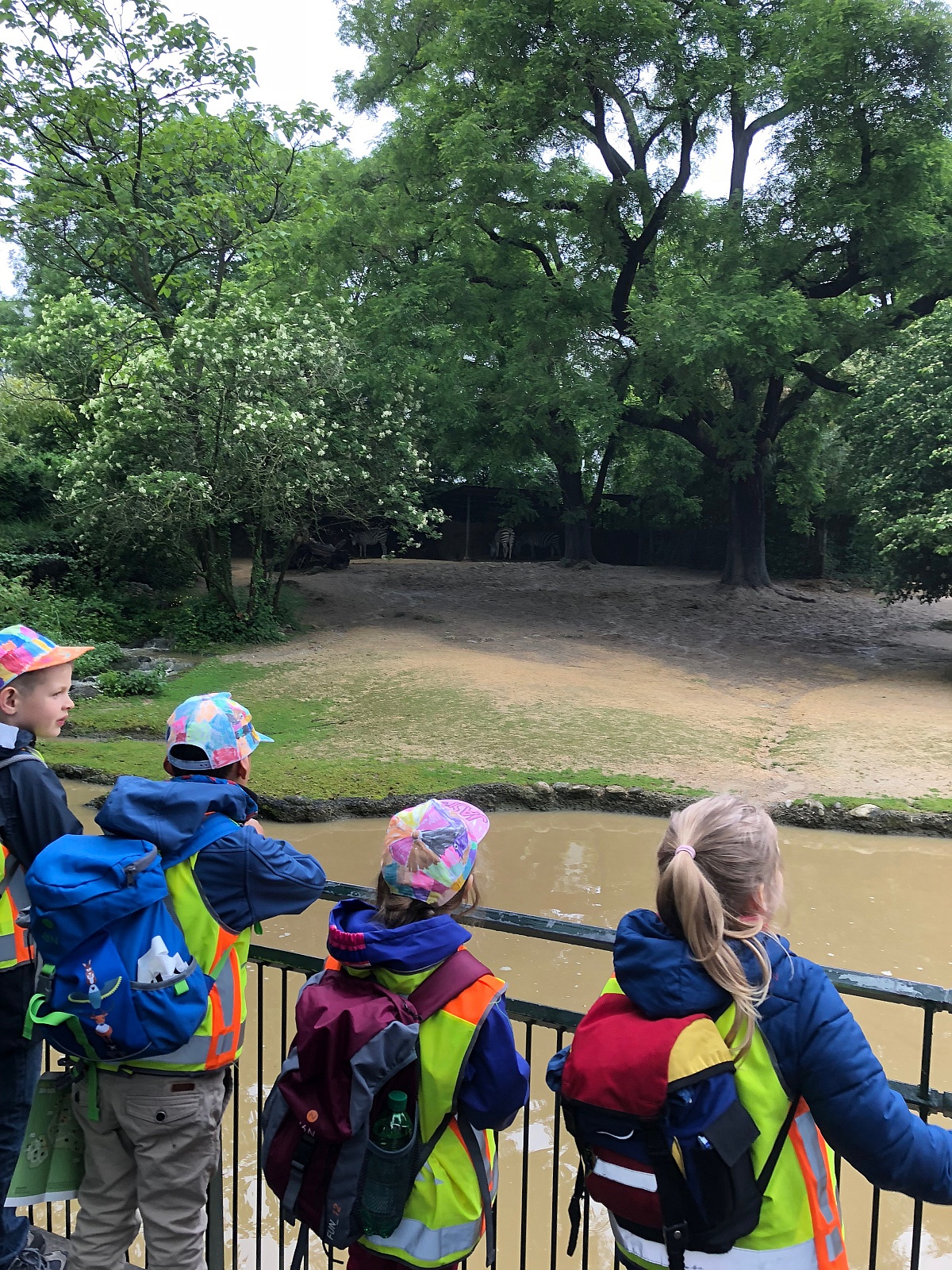 Klasse 1a: Schulreise in den Zoo Basel