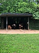 Klasse 1a: Schulreise in den Zoo Basel