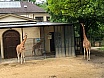 Klasse 1a: Schulreise in den Zoo Basel