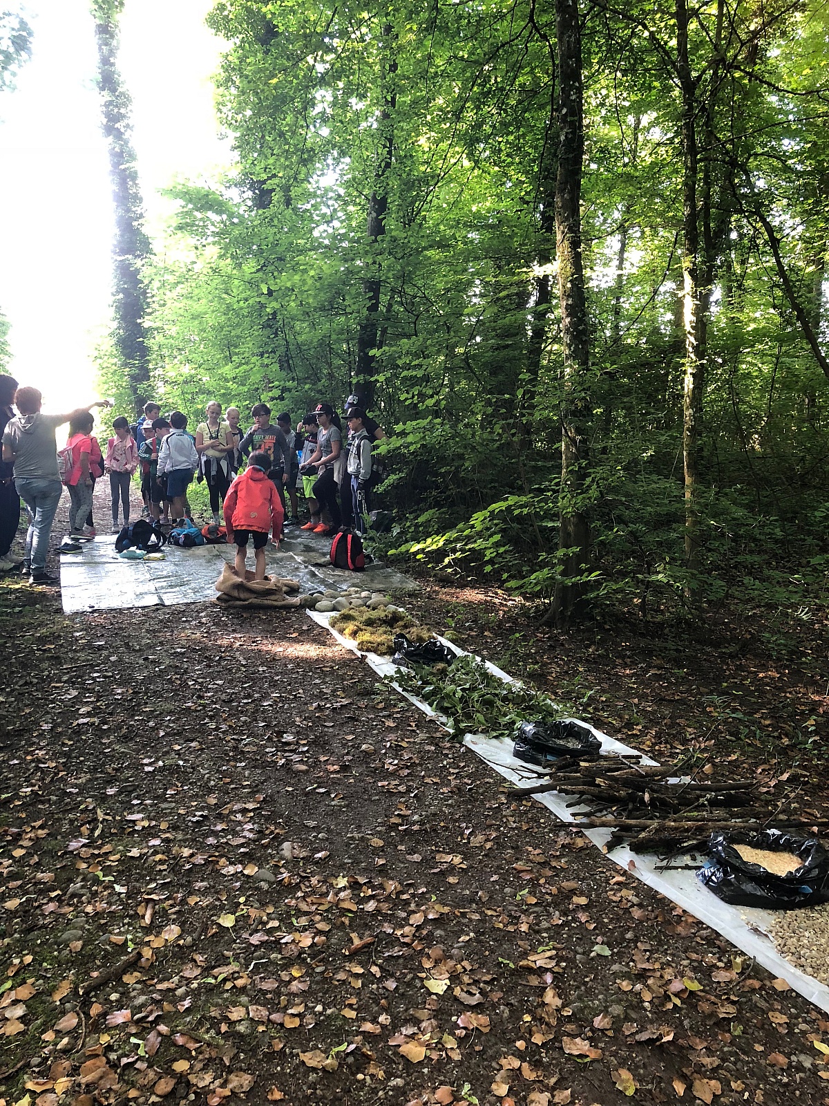 Sporttag 1.-4. Klasse 2018