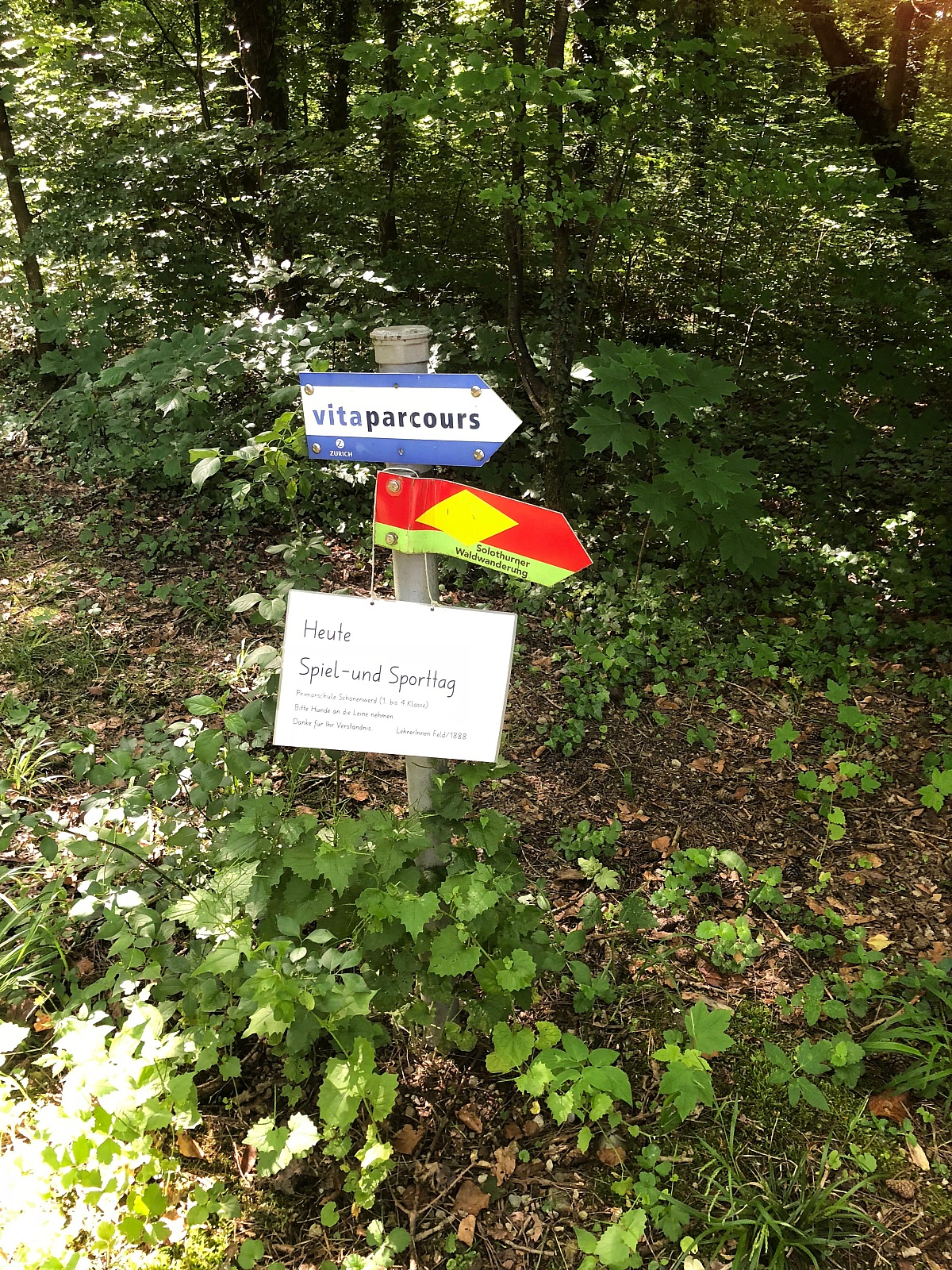Sporttag 1.-4. Klasse 2018