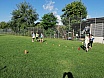KUBB-Turnier der Klassen 3a und 4a