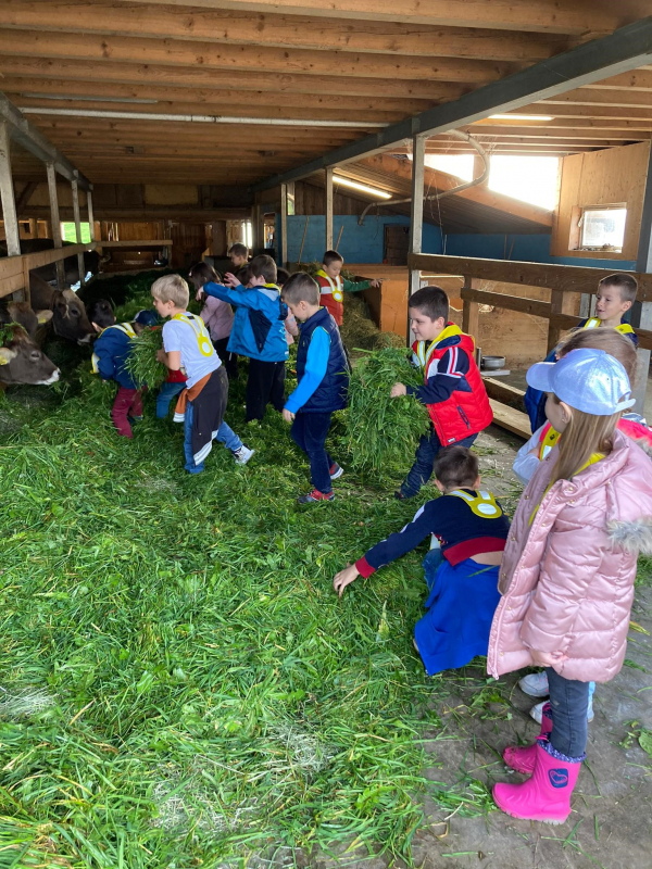 Bauernhofbesuch KIGA Feld 1&amp;2