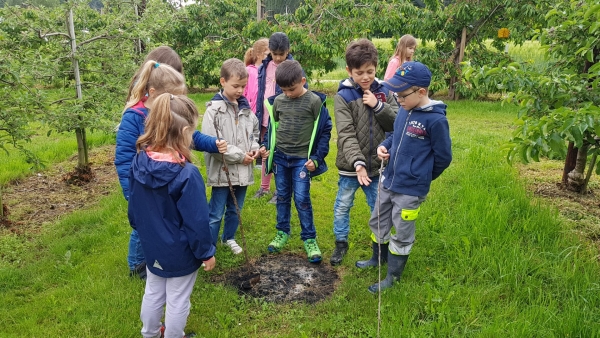 Die Klasse 2a besucht den Bauernhof